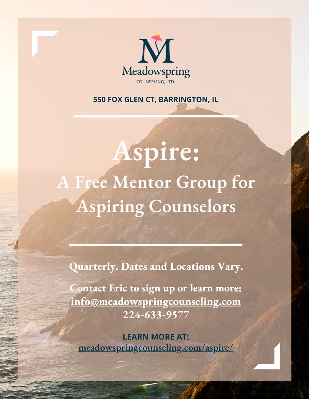 Aspire Mentor Group Flyer